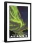 Northern Lights and Orcas, Denali National Park, Alaska-Lantern Press-Framed Art Print