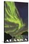 Northern Lights and Orcas, Katmai, Alaska-Lantern Press-Stretched Canvas