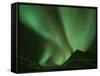 Northern Lights, Arctic National Wildlife Refuge, Alaska USA-Steve Kazlowski-Framed Stretched Canvas