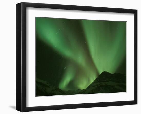 Northern Lights, Arctic National Wildlife Refuge, Alaska USA-Steve Kazlowski-Framed Photographic Print