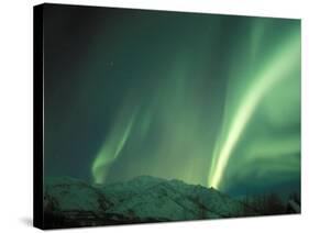 Northern Lights, Arctic National Wildlife Refuge, Alaska, USA-Steve Kazlowski-Stretched Canvas