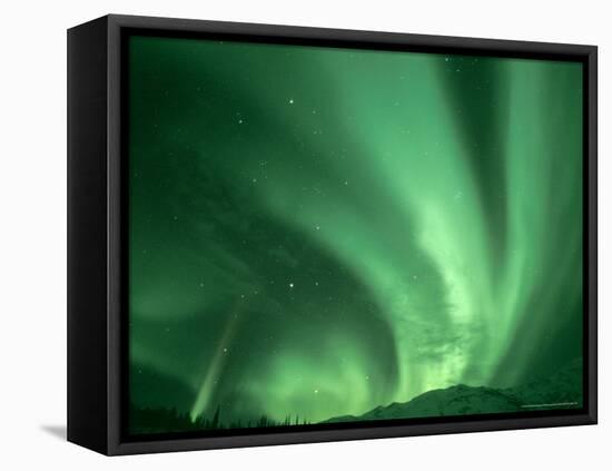 Northern Lights, Arctic National Wildlife Refuge, Alaska USA-Steve Kazlowski-Framed Stretched Canvas