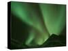Northern Lights, Arctic National Wildlife Refuge, Alaska USA-Steve Kazlowski-Stretched Canvas