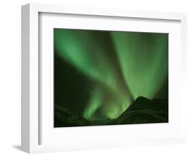 Northern Lights, Arctic National Wildlife Refuge, Alaska USA-Steve Kazlowski-Framed Photographic Print