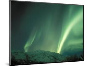 Northern Lights, Arctic National Wildlife Refuge, Alaska, USA-Steve Kazlowski-Mounted Photographic Print