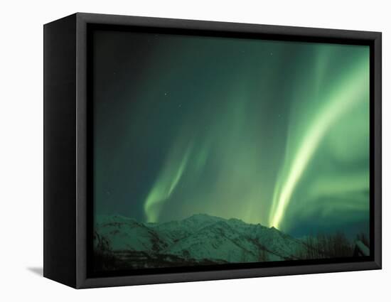 Northern Lights, Arctic National Wildlife Refuge, Alaska, USA-Steve Kazlowski-Framed Stretched Canvas