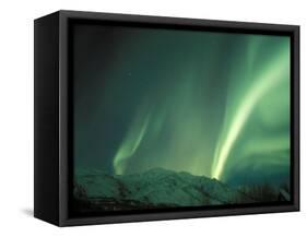 Northern Lights, Arctic National Wildlife Refuge, Alaska, USA-Steve Kazlowski-Framed Stretched Canvas
