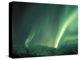 Northern Lights, Arctic National Wildlife Refuge, Alaska, USA-Steve Kazlowski-Stretched Canvas