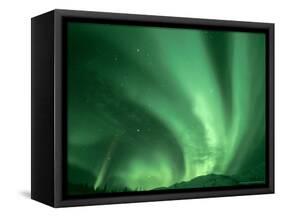 Northern Lights, Arctic National Wildlife Refuge, Alaska USA-Steve Kazlowski-Framed Stretched Canvas