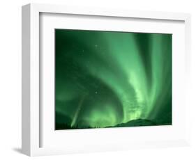 Northern Lights, Arctic National Wildlife Refuge, Alaska USA-Steve Kazlowski-Framed Photographic Print