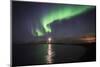 Northern Lights (Aurora Borealis) at Grotta Island Lighthouse, Polar Regions-Matthew Williams-Ellis-Mounted Photographic Print