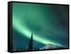 Northern Lights, Aurora Borealis, Brooks Range, Arctic National Wildlife Refuge, Alaska, USA-Steve Kazlowski-Framed Stretched Canvas