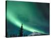 Northern Lights, Aurora Borealis, Brooks Range, Arctic National Wildlife Refuge, Alaska, USA-Steve Kazlowski-Stretched Canvas