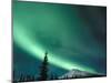 Northern Lights, Aurora Borealis, Brooks Range, Arctic National Wildlife Refuge, Alaska, USA-Steve Kazlowski-Mounted Photographic Print