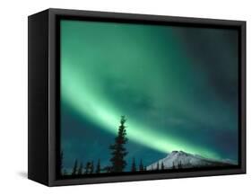 Northern Lights, Aurora Borealis, Brooks Range, Arctic National Wildlife Refuge, Alaska, USA-Steve Kazlowski-Framed Stretched Canvas