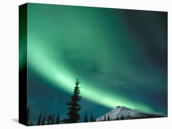 Northern Lights, Aurora Borealis, Brooks Range, Arctic National Wildlife Refuge, Alaska, USA-Steve Kazlowski-Stretched Canvas