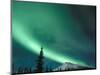 Northern Lights, Aurora Borealis, Brooks Range, Arctic National Wildlife Refuge, Alaska, USA-Steve Kazlowski-Mounted Photographic Print