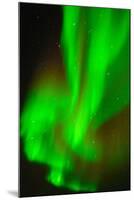 Northern Lights (Aurora Borealis), Churchill, Hudson Bay, Manitoba, Canada, North America-Bhaskar Krishnamurthy-Mounted Photographic Print