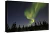 Northern Lights, Aurora Borealis in Night Sky-null-Stretched Canvas