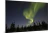 Northern Lights, Aurora Borealis in Night Sky-null-Mounted Photographic Print