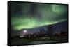 Northern Lights (Aurora Borealis), Laukvik, Nordland, Norway, Scandinavia-Sergio Pitamitz-Framed Stretched Canvas