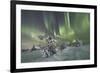 Northern Lights (Aurora Borealis) on the frozen trees in the snowy woods, Levi, Sirkka, Kittila, La-Roberto Moiola-Framed Photographic Print