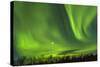 Northern Lights (Aurora Borealis) over Snowscape.-Jorg Hackemann-Stretched Canvas