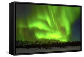 Northern Lights (Aurora Borealis) over Snowscape.-Jorg Hackemann-Framed Stretched Canvas