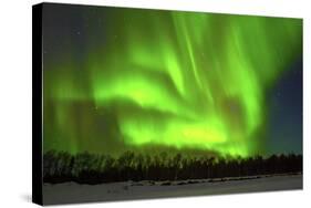 Northern Lights (Aurora Borealis) over Snowscape.-Jorg Hackemann-Stretched Canvas