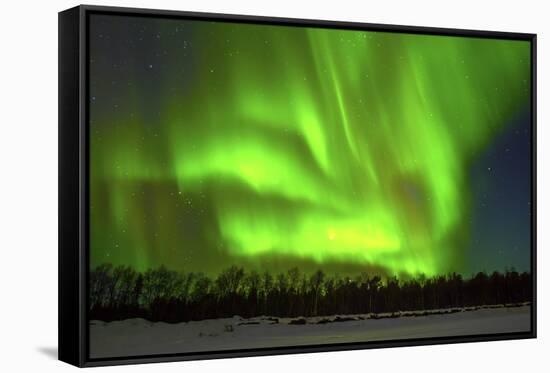 Northern Lights (Aurora Borealis) over Snowscape.-Jorg Hackemann-Framed Stretched Canvas