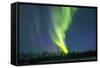 Northern Lights (Aurora Borealis) over Snowscape.-Jorg Hackemann-Framed Stretched Canvas