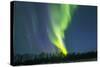 Northern Lights (Aurora Borealis) over Snowscape.-Jorg Hackemann-Stretched Canvas