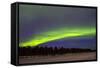 Northern Lights (Aurora Borealis) over Snowscape.-Jorg Hackemann-Framed Stretched Canvas