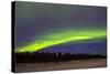 Northern Lights (Aurora Borealis) over Snowscape.-Jorg Hackemann-Stretched Canvas