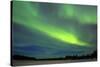 Northern Lights (Aurora Borealis) over Snowscape.-Jorg Hackemann-Stretched Canvas