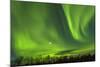 Northern Lights (Aurora Borealis) over Snowscape.-Jorg Hackemann-Mounted Photographic Print