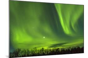 Northern Lights (Aurora Borealis) over Snowscape.-Jorg Hackemann-Mounted Photographic Print