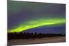 Northern Lights (Aurora Borealis) over Snowscape.-Jorg Hackemann-Mounted Photographic Print