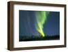 Northern Lights (Aurora Borealis) over Snowscape.-Jorg Hackemann-Framed Photographic Print