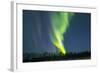 Northern Lights (Aurora Borealis) over Snowscape.-Jorg Hackemann-Framed Photographic Print