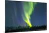 Northern Lights (Aurora Borealis) over Snowscape.-Jorg Hackemann-Mounted Photographic Print