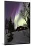 Northern Lights (Aurora borealis) over wood hut, Grovfjord, Troms county, Lofoten Islands, Norway-Roberto Moiola-Mounted Photographic Print