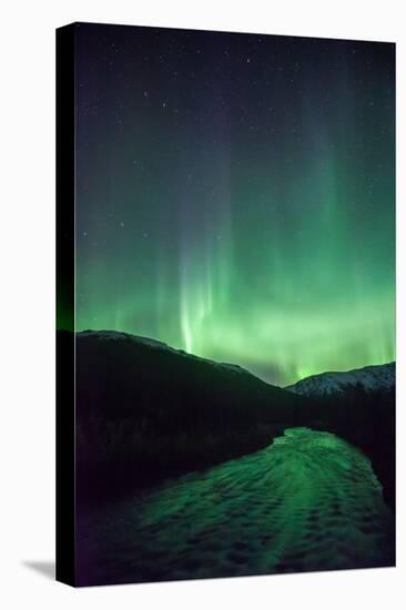 Northern Lights, Aurora Borealis, River-Lindsay Daniels-Stretched Canvas