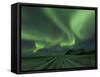 Northern Lights, Aurora Borealis, Winter Road With Snow, Iceland-Peter Adams-Framed Stretched Canvas