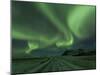 Northern Lights, Aurora Borealis, Winter Road With Snow, Iceland-Peter Adams-Mounted Photographic Print