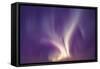 Northern Lights, Aurora Borealis-null-Framed Stretched Canvas