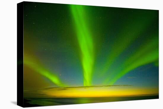 Northern Lights, Beaufort Sea, ANWR, Alaska, USA-Steve Kazlowski-Stretched Canvas