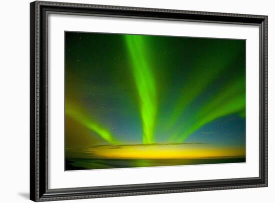 Northern Lights, Beaufort Sea, ANWR, Alaska, USA-Steve Kazlowski-Framed Photographic Print