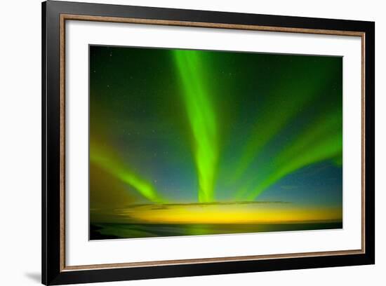 Northern Lights, Beaufort Sea, ANWR, Alaska, USA-Steve Kazlowski-Framed Photographic Print