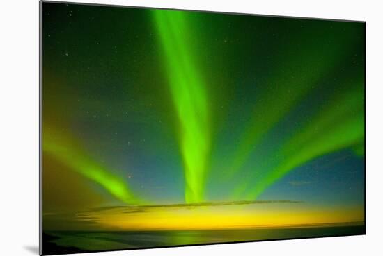 Northern Lights, Beaufort Sea, ANWR, Alaska, USA-Steve Kazlowski-Mounted Photographic Print